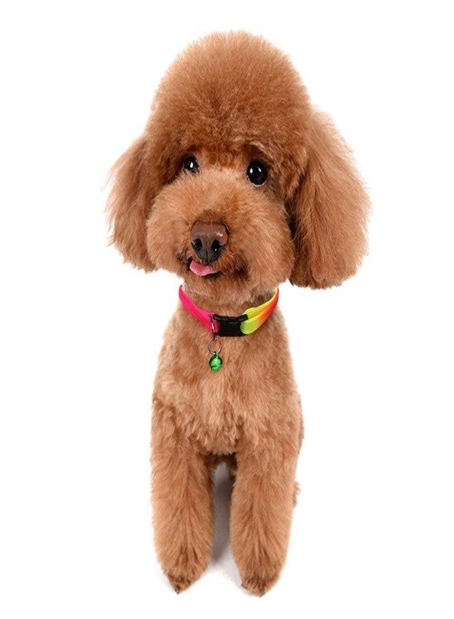 Pups&Pets طوق نايلون بألوان قوس قزح للحيوانات الأليفة الصغيرة من Pups&Pets، مناسب للجراء والقطط والقطط الصغيرة والأرانب (ألوان متعددة). - Image 1